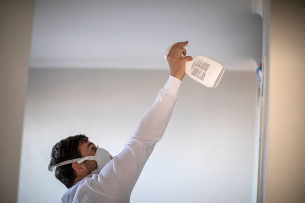 Best Preventive Mold Services in Itta Bena, MS