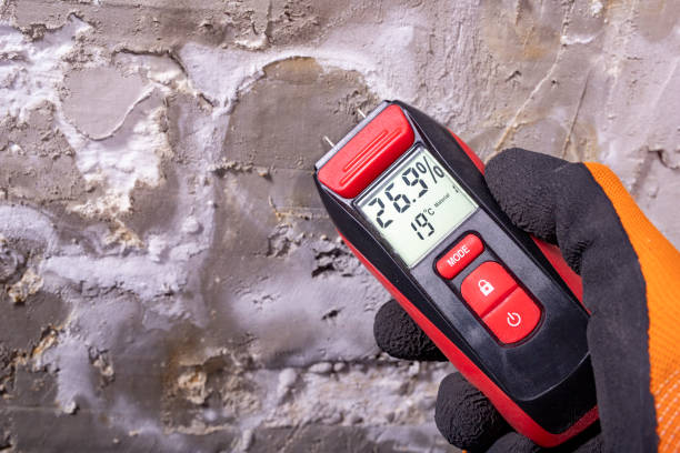 Best Residential Mold Remediation in Itta Bena, MS