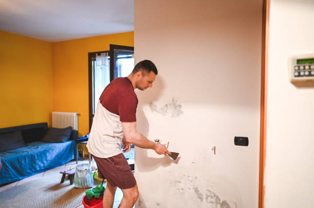 Professional Mold Remediation in Itta Bena, MS